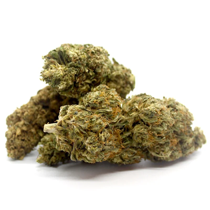 Citrus