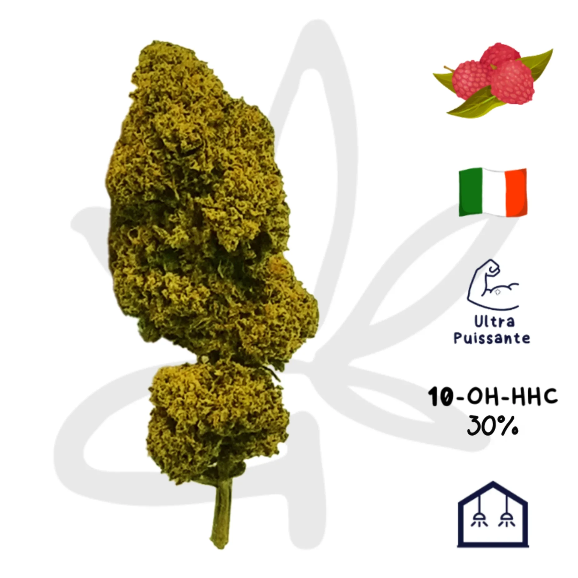 Milky 10-OH-HHC 30%