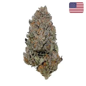 Blackberry Kush