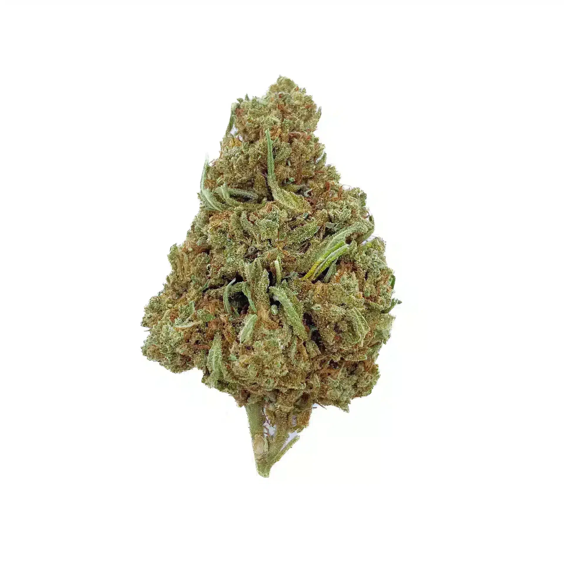 Fleurs CBD Cheese 13,5% ⚠ PROMO ⚠ - Green-house
