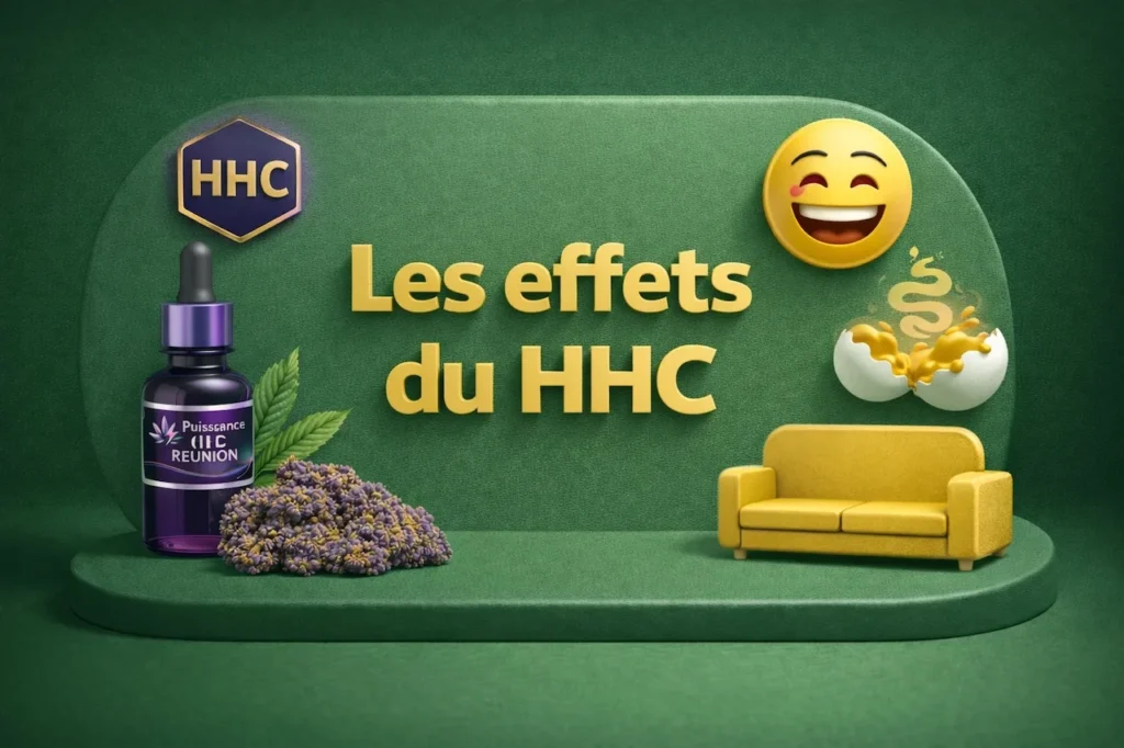 Effets du HHC : tout savoir sur les sensations et la loi (CBD Runion  Saint-Pierre)