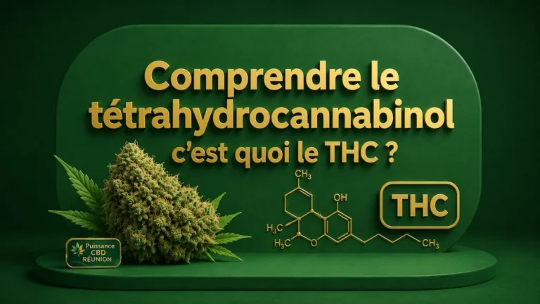 comprendre le thc
