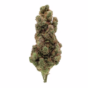 Sour Diesel CBD Indoor