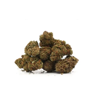 Strawberry Cheese Indoor