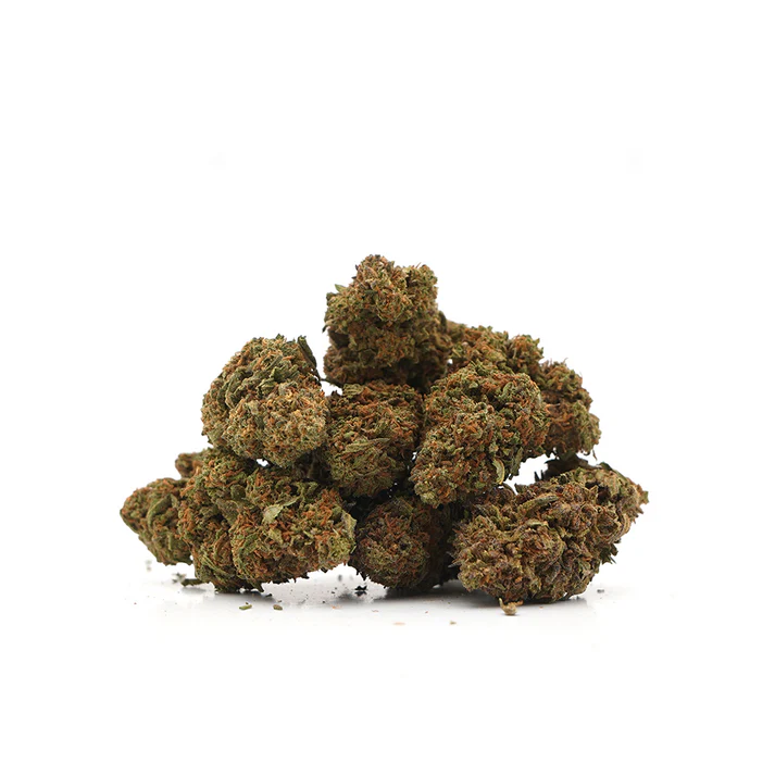 Strawberry Cheese Indoor