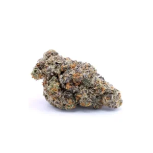 Watermelon Indoor
