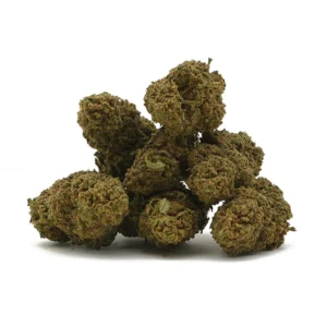 Zkittlez Greenhouse