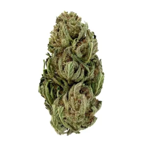 CBD Péi Outdoor (de Petite Île)