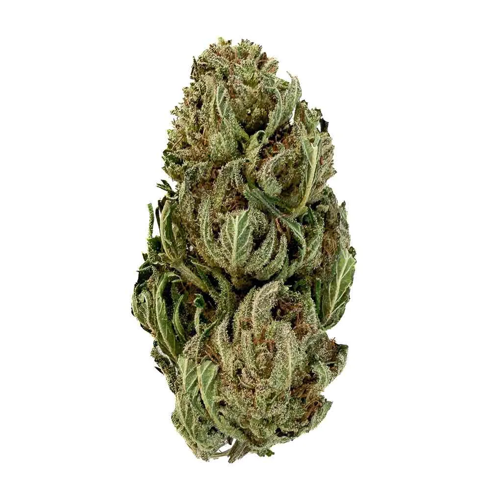 CBD Péi Outdoor (de Petite Île)