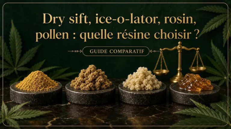 quelle resine choisir