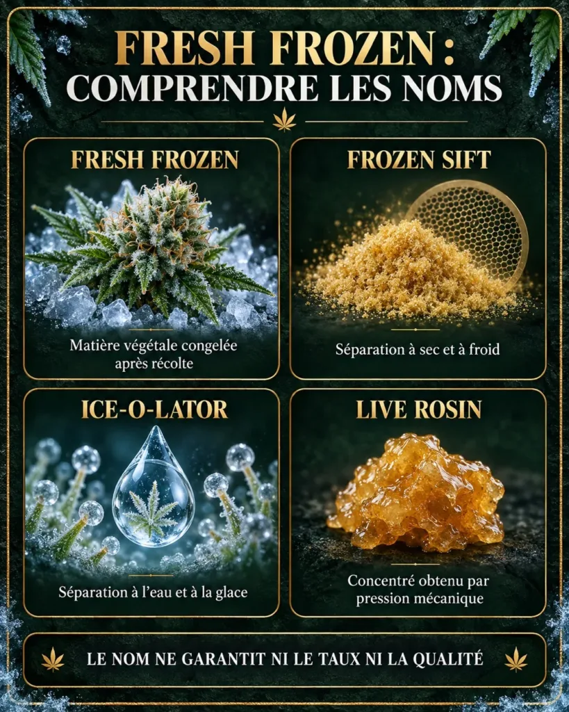 comprendre ce qu est le frresh frozen cbd