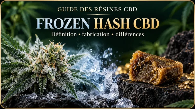 frozen hash cbd